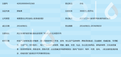 武漢和悅智付科技有限責(zé)任公司 信息技術(shù)咨詢服務(wù)的行業(yè)先鋒