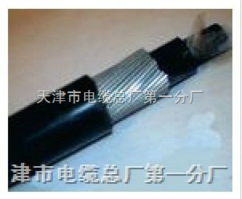 鎧裝阻燃通信電纜hya22與控制電纜的深度解析